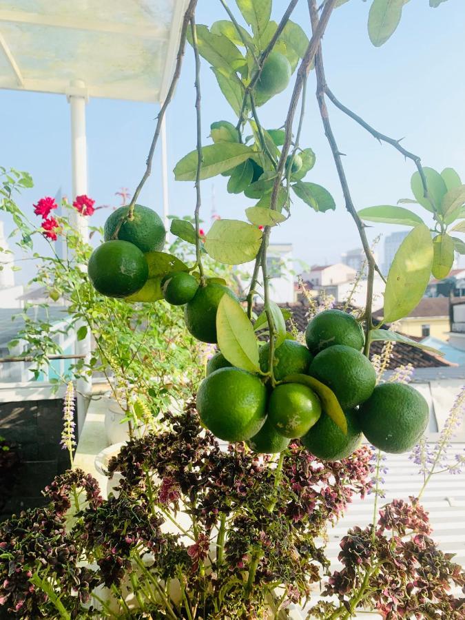 Nana Homestay & Villa Hue Buitenkant foto